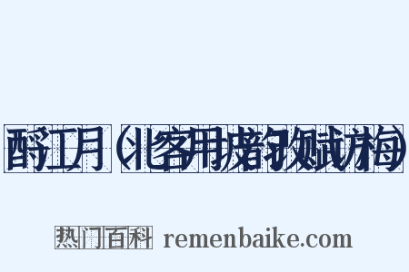 酹江月（北客用坡韵改赋访梅）是什么意思的图片